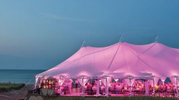 outdoor lighting uplighting event rentals rental pro rent