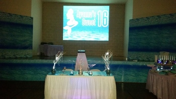 Any Image Can Be Projected