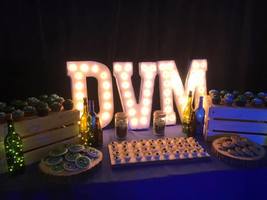 Sweets Table Party Decor 